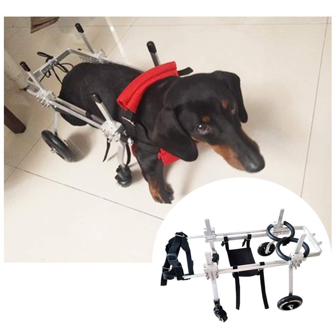 Amazon.co.jp: 老犬、猫、ウサギ、スクーター用の4輪ペット
